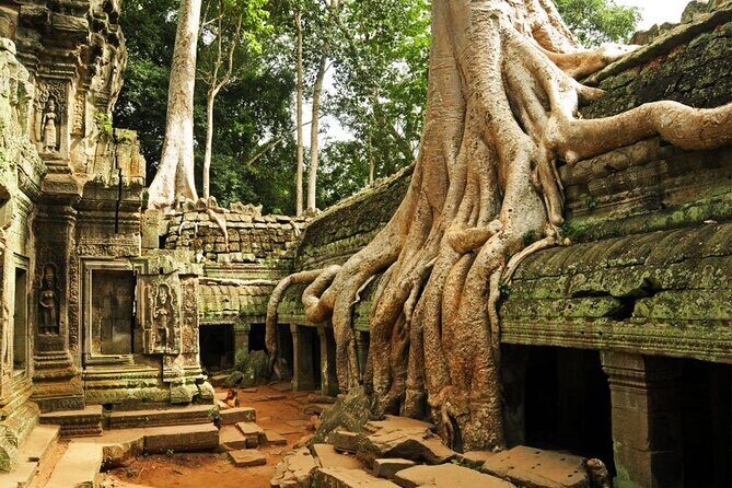Angkor Wat full Day 'Small Group with sunset & Tour Guide - FAQs
