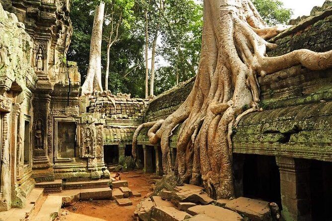 Angkor Wat: Highlights and Sunrise Guided Tour -Angkor Admission - Who Is This Tour Best For?