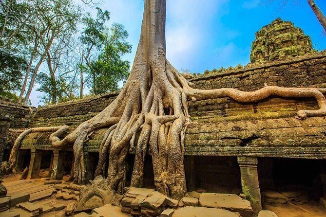 Angkor Wat one Day Private Tour for All Highlight Angkor Temples - FAQs