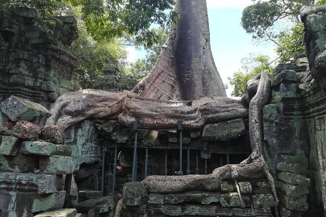 Angkor Wat Small Circuit Tour - Who Is This Tour Best Suited For?