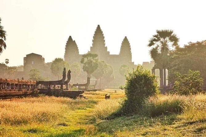 Angkor Wat Small-Group Exploration with Expert Guide - The Value for Money