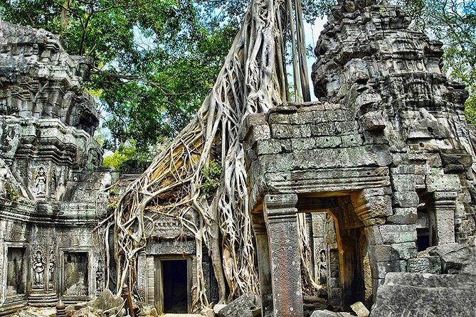 Angkor Wat Small-Group Exploration with Expert Guide - Who Is This Tour Best For?