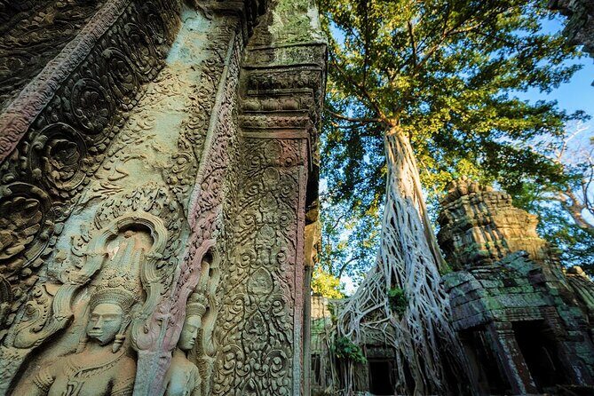 Angkor Wat Sunrise & All Highlight Angkor Temple Private Day Tour - The Sum Up