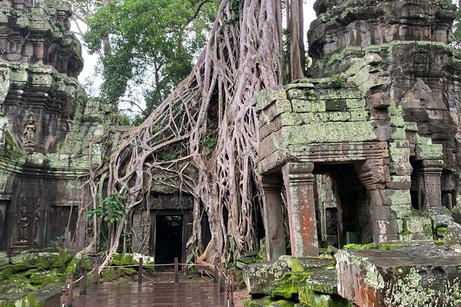 Angkor Wat Sunrise and Angkor Thom Sunset Tour - Who Is This Tour Best For?