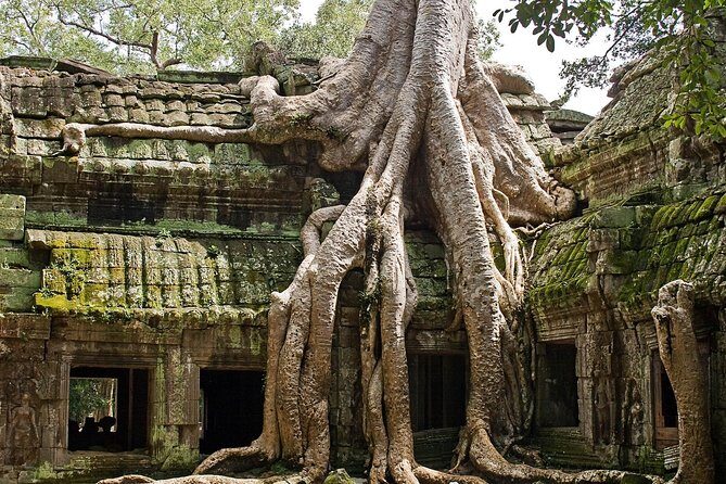 Angkor Wat Sunrise & Small Circuit Tour - What to Expect from the Tour