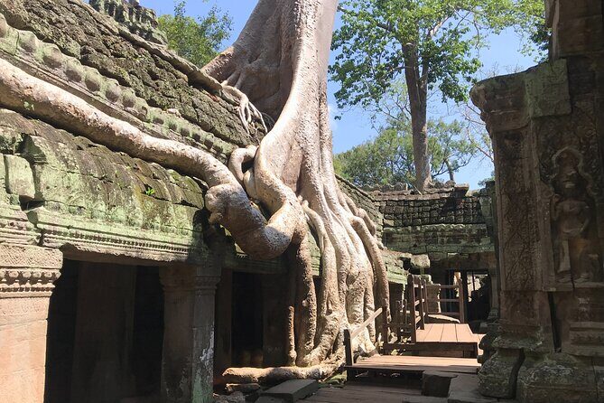 Angkor Wat Sunrise Tour - FAQs