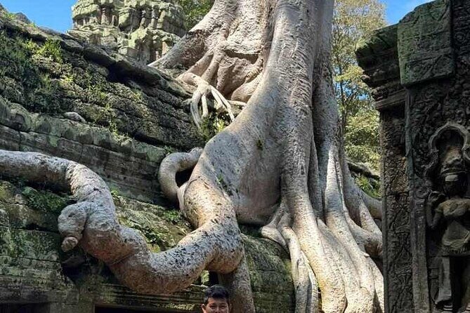 Angkor Wat, Ta Prohm, Angkor Thom & Phnom Bakheng Sunset Tours - A Deep Dive into the Experience