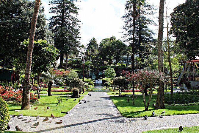 Angra do Heroísmo by foot - A Deep Dive into the Angra do Heroísmo Walking Tour