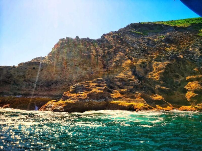 Angra do Heroísmo: Goat Islets Visit - Who Is This Tour Best Suited For?