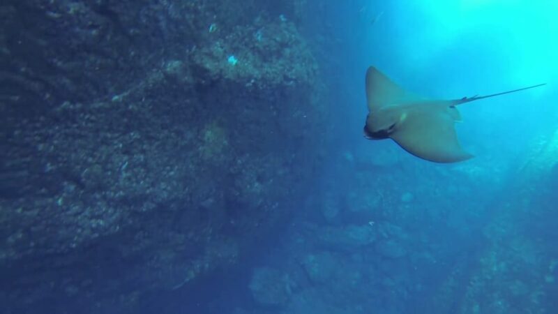 Angra do Heroísmo: Snorkeling Tour by boat - An Honest Look at the Snorkeling Tour