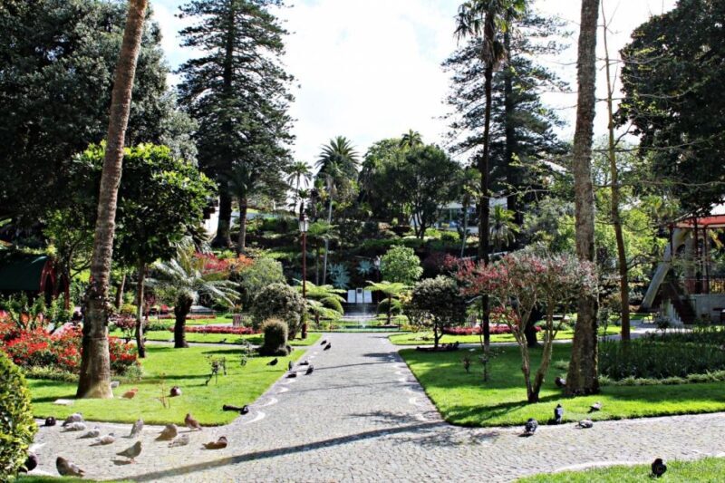 Angra do Heroísmo: Walking Tour with Local Pastry and Coffee - The Practicalities: Timing, Accessibility, and Tips