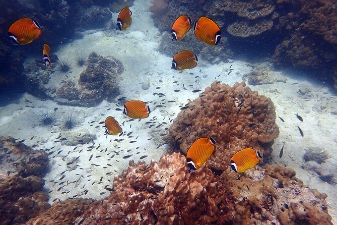 Angthong Marine Park Semi-Private Sunset Tour - FAQs