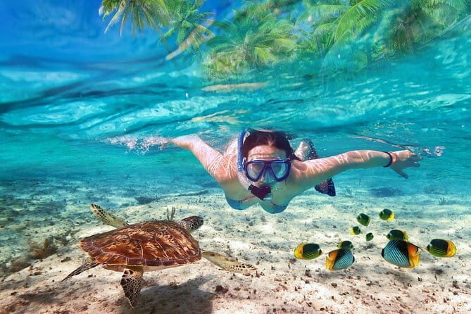 Angthong National Marine Park by Highsea Tour Official - FAQ