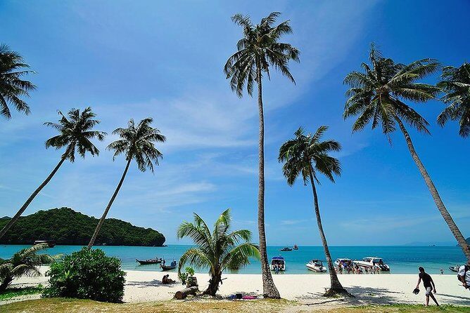 Angthong National Marine Park by Speed Boat with Snorkeling & Kayaking - How Is the Transportation and Group Size?