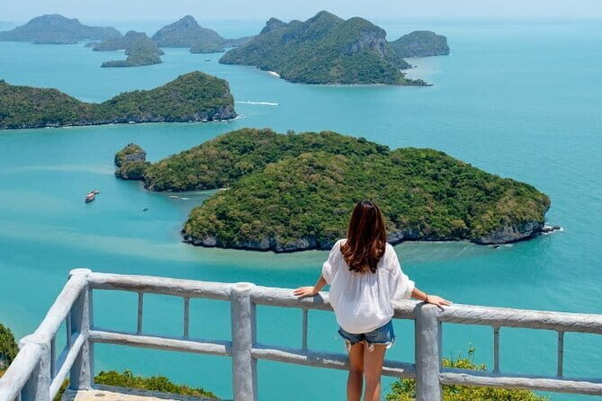 Angthong National Marine Park Tour by Speed Boat - Who Is This Tour Perfect For?