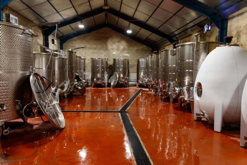 Aniane: Château Capion Wine Tasting Experience - Introduction