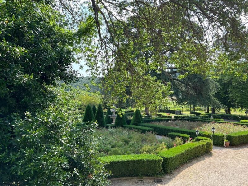 Aniane: Château Capion Wine Tasting Experience - What Makes This Experience Stand Out?