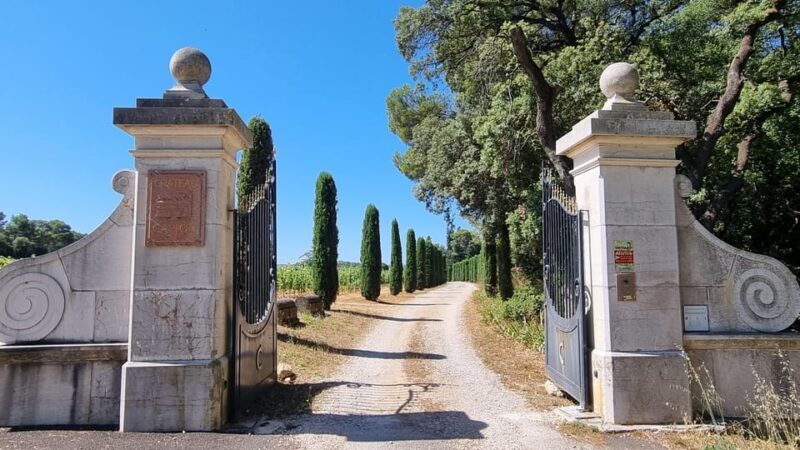 Aniane: Château Capion Wine Tasting Experience - Who Should Consider This Tour?