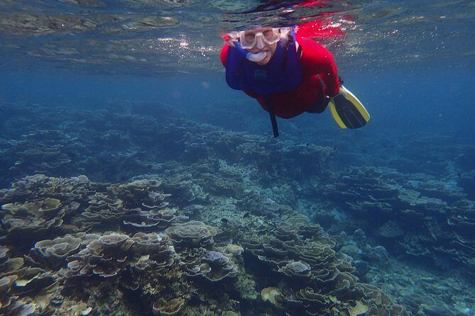 Anilao Snorkel Safari: Explore the Amazing Underwater World - A Close Look at the Itinerary