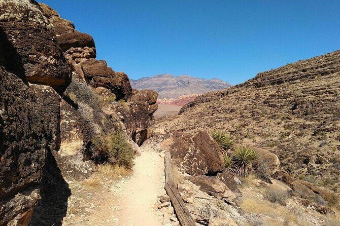 Animal Petting and Sunset Hike in Las Vegas - Things to Consider Before Booking