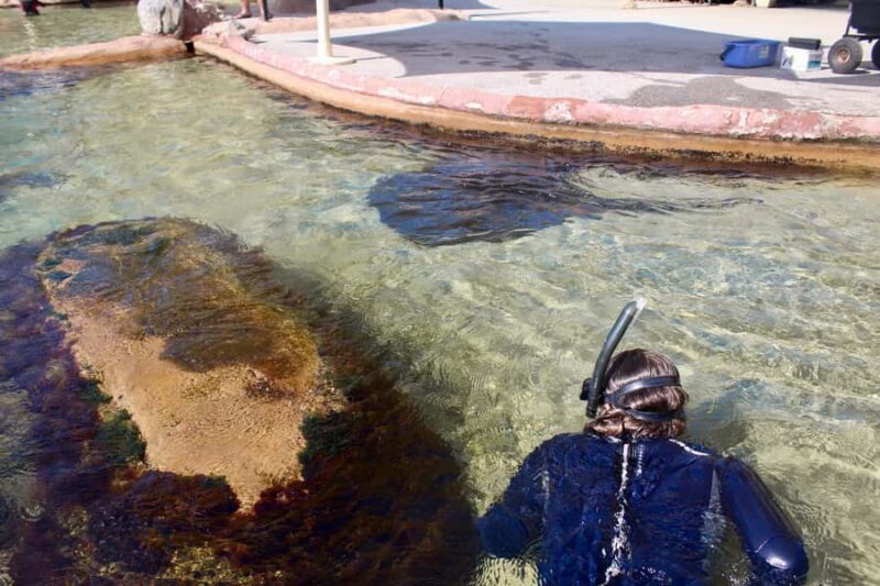 Anna Bay: Irukandji Entry + Coastal Currents Snorkel - The Sum Up