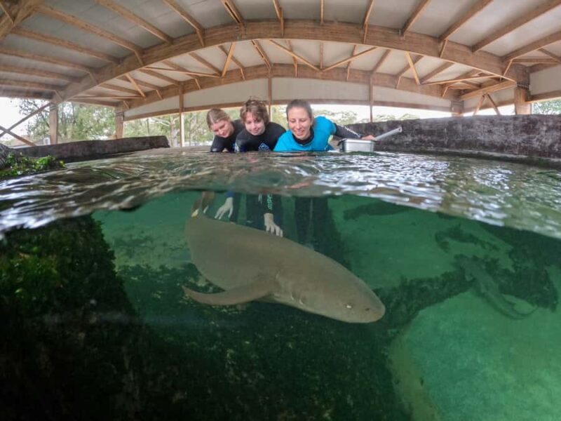 Anna Bay: Irukandji Entry Pass with Reef Shark Encounter - What Reviews Highlight About the Experience