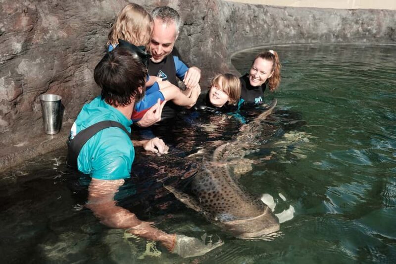 Anna Bay: Irukandji Entry Pass with Zebra Shark Encounter - Who should consider this tour?