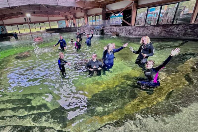 Anna Bay: Irukandji Entry with Zebra Shark Snorkel - Why This Tour Stands Out