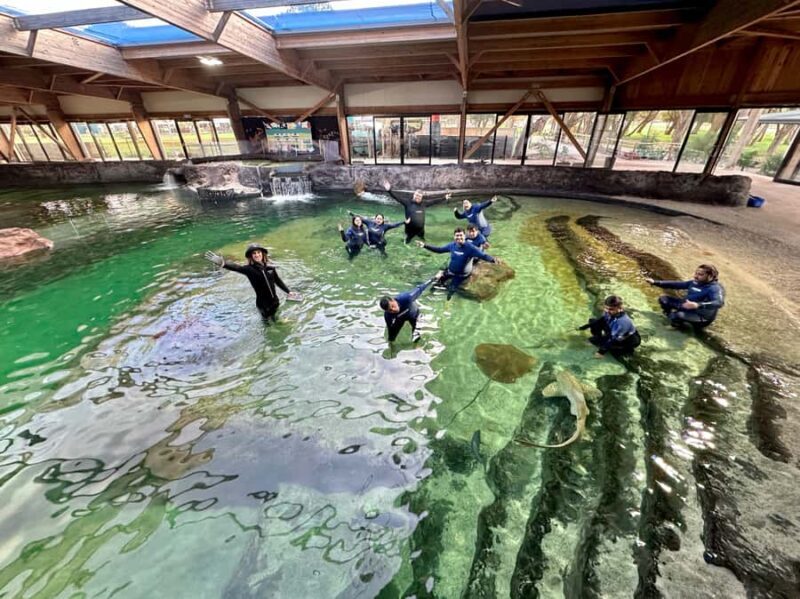 Anna Bay: Irukandji Entry with Zebra Shark Snorkel - FAQ