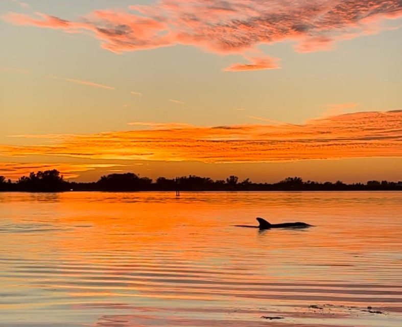 Anna Maria Island and Bradenton: Sunset Kayak Dolphin Tour - Who Will Enjoy This Experience?