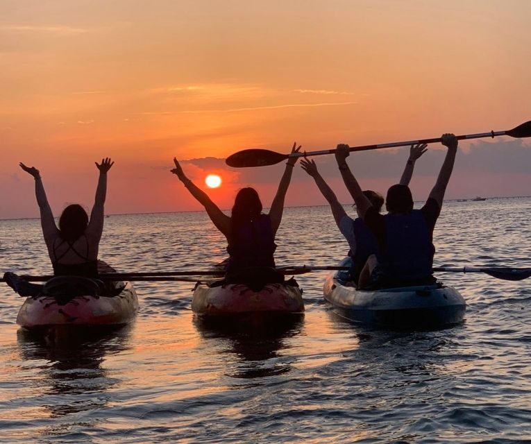 Anna Maria Island and Bradenton: Sunset Kayak Dolphin Tour - Final Thoughts: Is It Worth It?