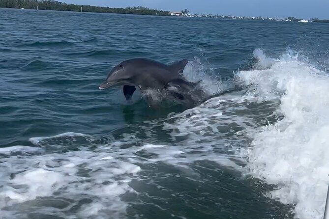 Anna Maria Island Build Your Own Adventure 4 hours - Why We Think This Tour Works Well