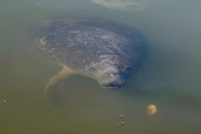 Anna Maria Island Build your own adventure 6 hour - Key Points