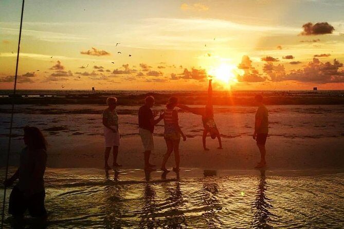 Anna Maria Island Dolphin Sunset Boat Tour - The Experience Through Travelers’ Eyes