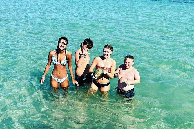 Anna Maria Island Dolphins & Beginners Snorkeling Adventure 3hrs - FAQs about the Anna Maria Island Dolphins & Beginners Snorkeling Adventure