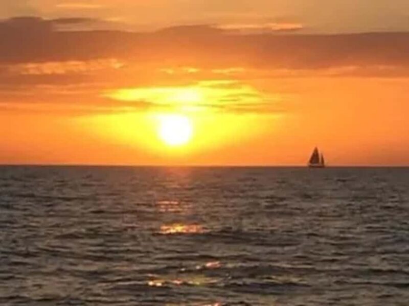 Anna Maria Island: Sunset Dolphin Cruise - Key Points