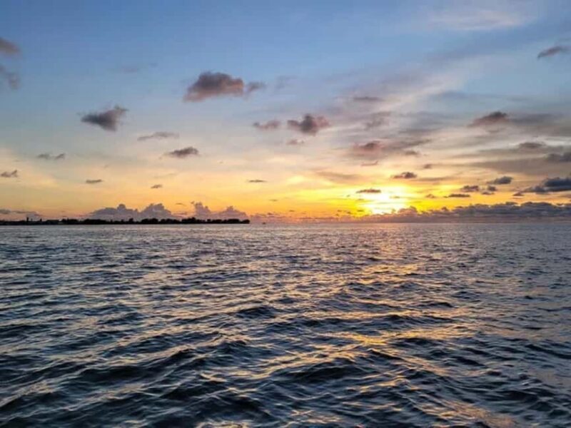 Anna Maria Island: Sunset Dolphin Cruise - The Sum Up