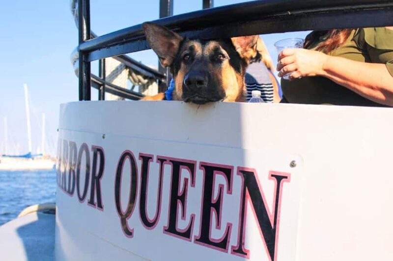 Annapolis Sunset Cruise - Key Points