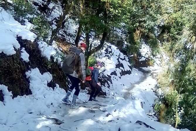 Annapurna: 5 Days Poon Hill Circuit Trek from Pokhara - A Detailed Look at the 5-Day Poon Hill Circuit Trek