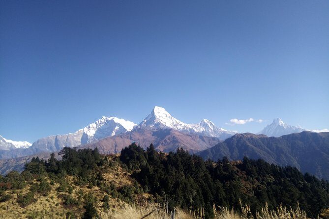 Annapurna Base Camp Trek - Potential Drawbacks or Considerations