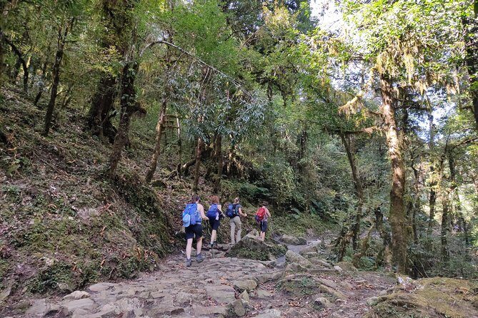 Annapurna Base Camp Trek - What Our Reviewers Say