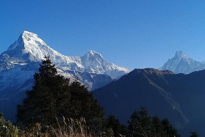 Annapurna Base Camp Trek - The Trekking Experience in Detail