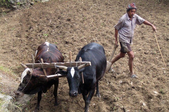 Annapurna Base Camp Trek - FAQs