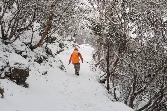 Annapurna base camp trek 5 Days - Who Is This Tour Best For?