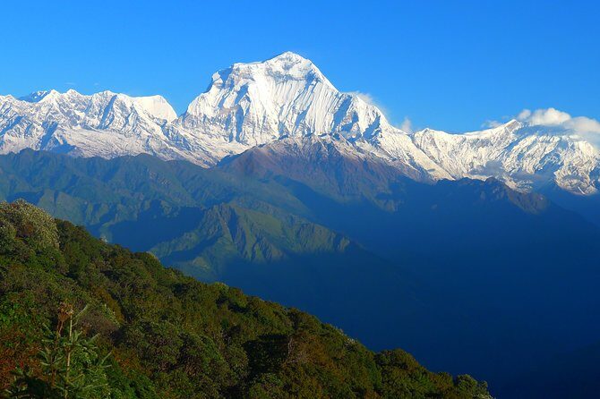 Annapurna Base Camp Trek -8 days - Day 3: Moving Toward the Forests and Bamboo