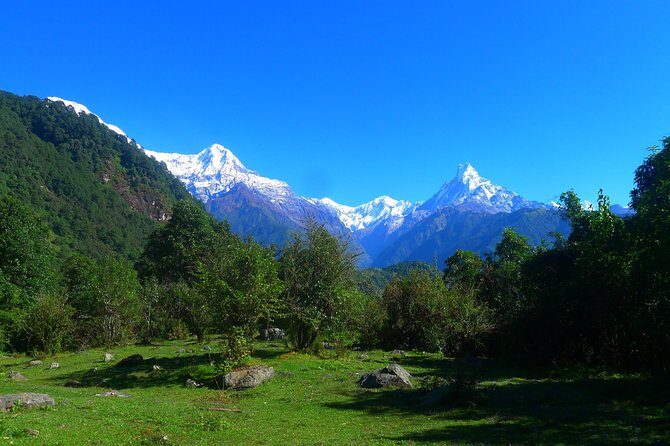 Annapurna Base Camp Trek -8 days - Day 6: Descent Back to Bamboo
