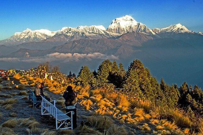 Annapurna Base Camp Trek and Chitwan Excursion - Exploring the Experience: A Deep Dive into the Itinerary