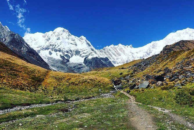 Annapurna Base Camp Trek and Chitwan Excursion - Potential Considerations
