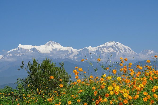 Annapurna Base Camp Trekking - Into the Forests and Villages: Tadapani and Chhomrong