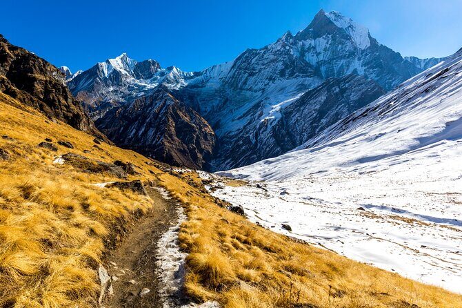 Annapurna Base Camp Trekking - 7 Days - What Travelers Say – Authentic Insights